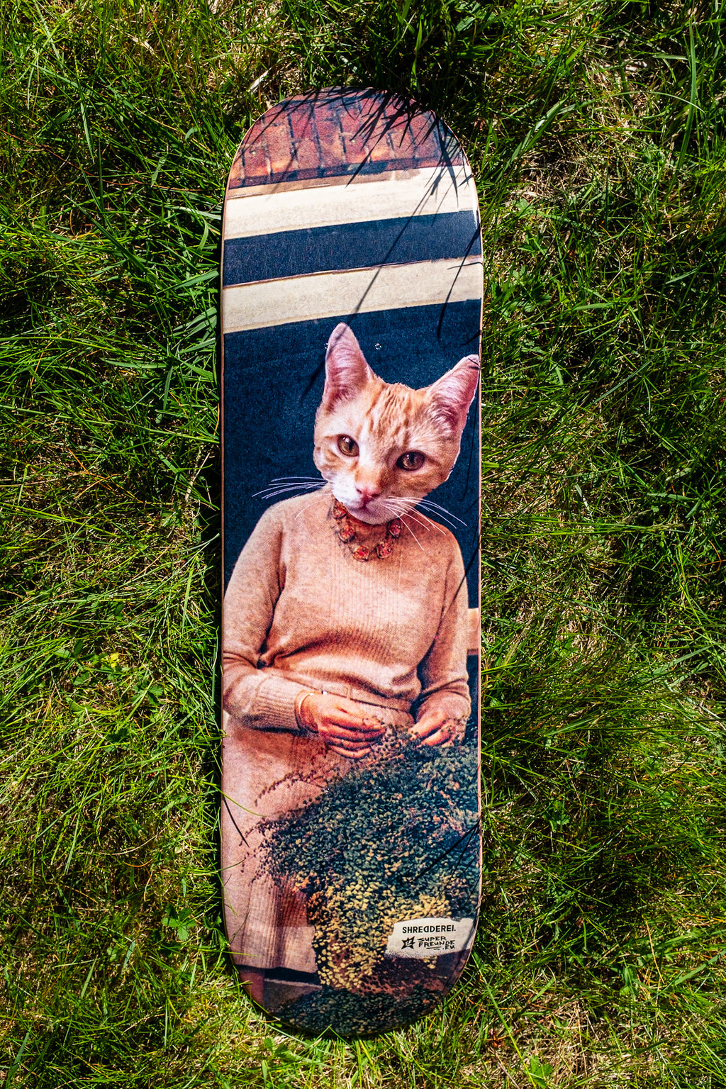 CATLADY | Deck