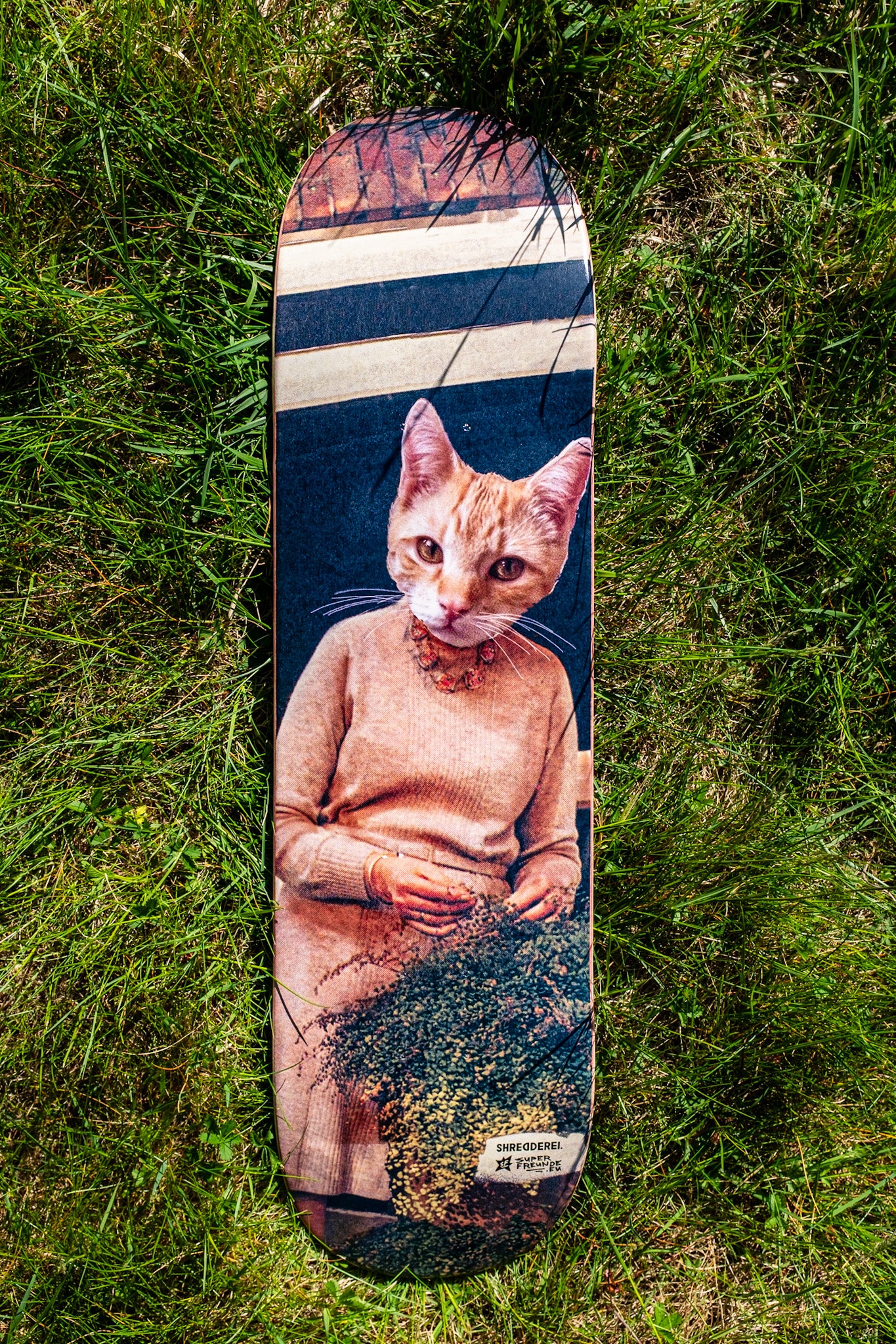 CATLADY | Deck