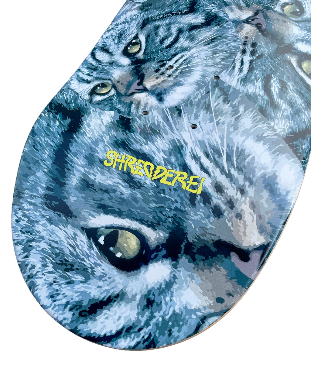 CATFACE | DECK