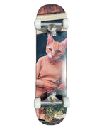 CATLADY | Complete Deck