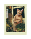 CAT LADY | Postcard