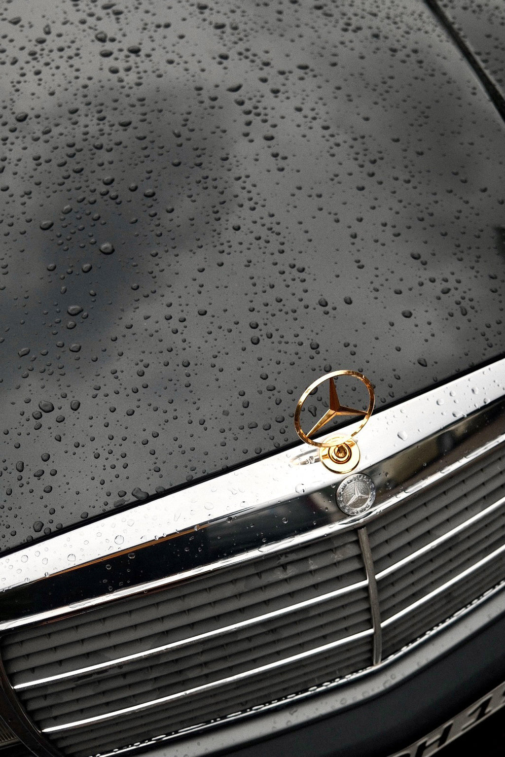 "Mercedes Gold" | Fotodruck