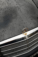 "Mercedes Gold" | Fotodruck